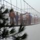 Стеклянный мост в Китае — вся правда о достопримечательности